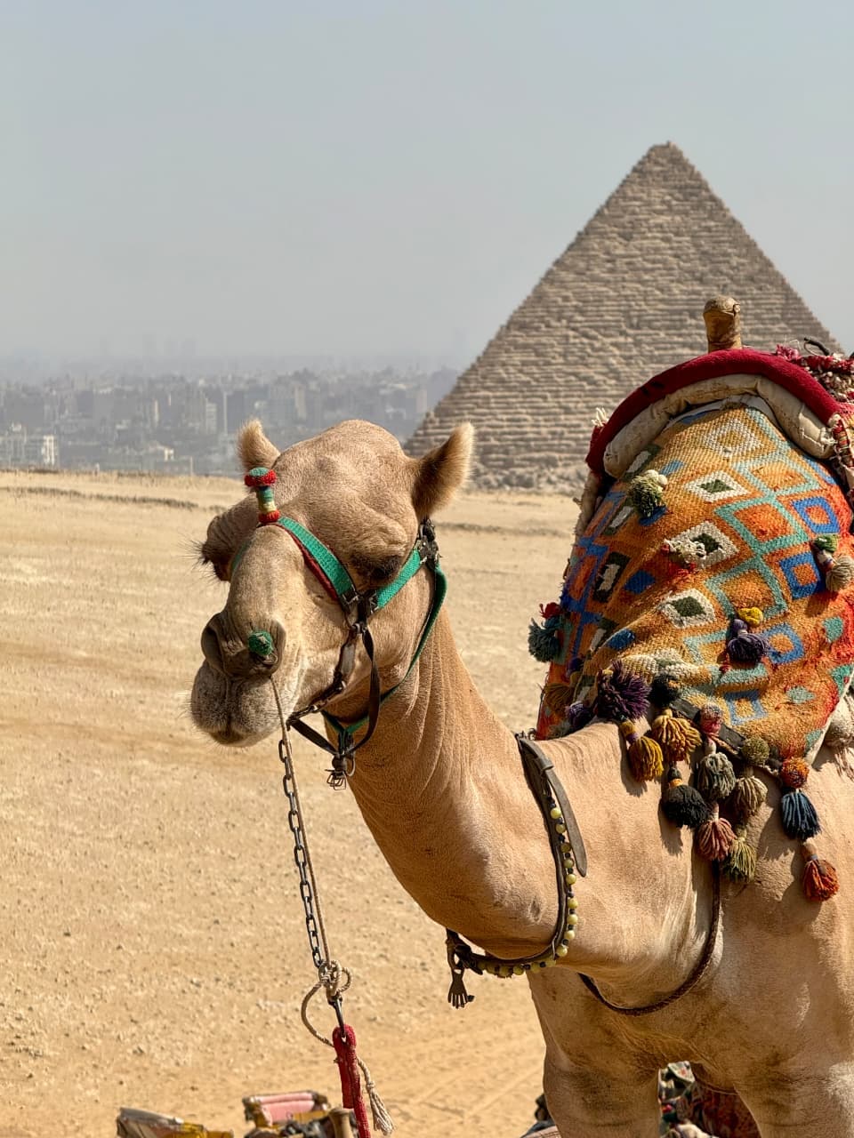 Giza Pyramids Camel & Horse Riding at Sunrise - image 3